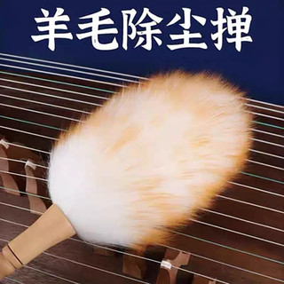 chổi lông lau đàn