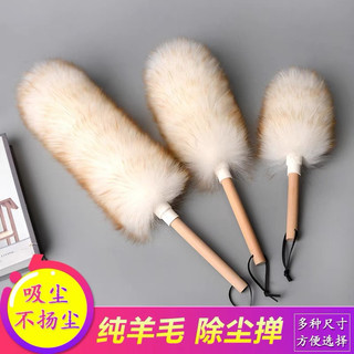 chổi lông lau đàn