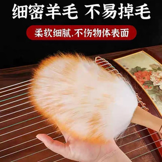 chổi lông lau đàn