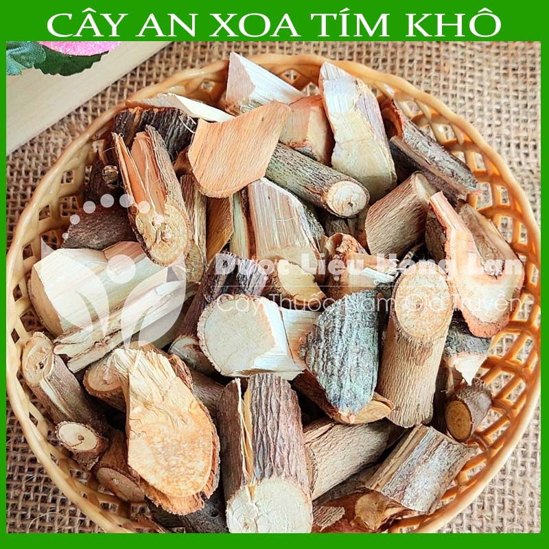 Dược liệu CÂY AN XOA khô sạch đóng gói 500gram - congtyduoclieuhonglan