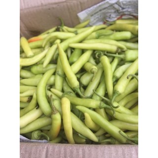 Ớt sừng vàng 500g