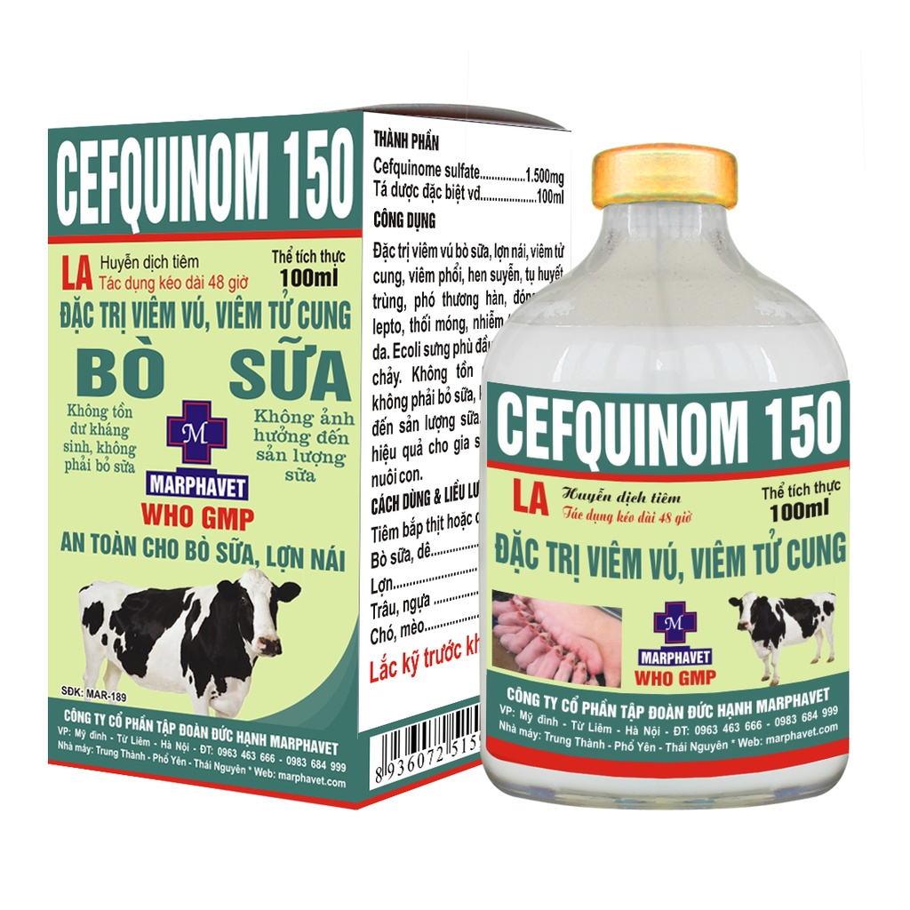 Cefquinom 150 LA  an toàn trong viêm vú bò sữa, lợn nái "không phải bỏ sữa"