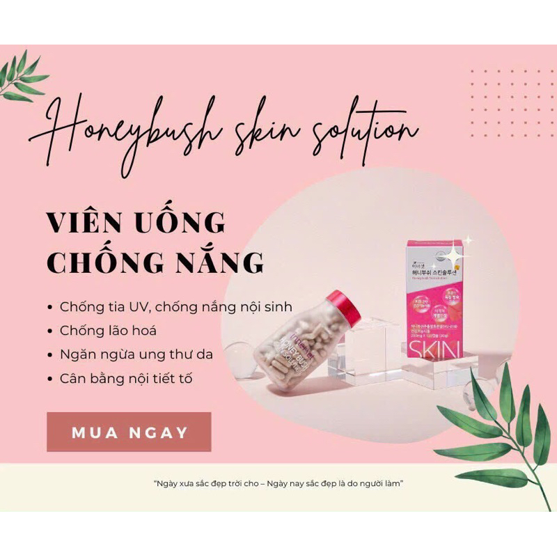 ( Chính Hãng ) Viên Uống Chống Nắng Honey bush Skin Solution Hàn Quốc Isov