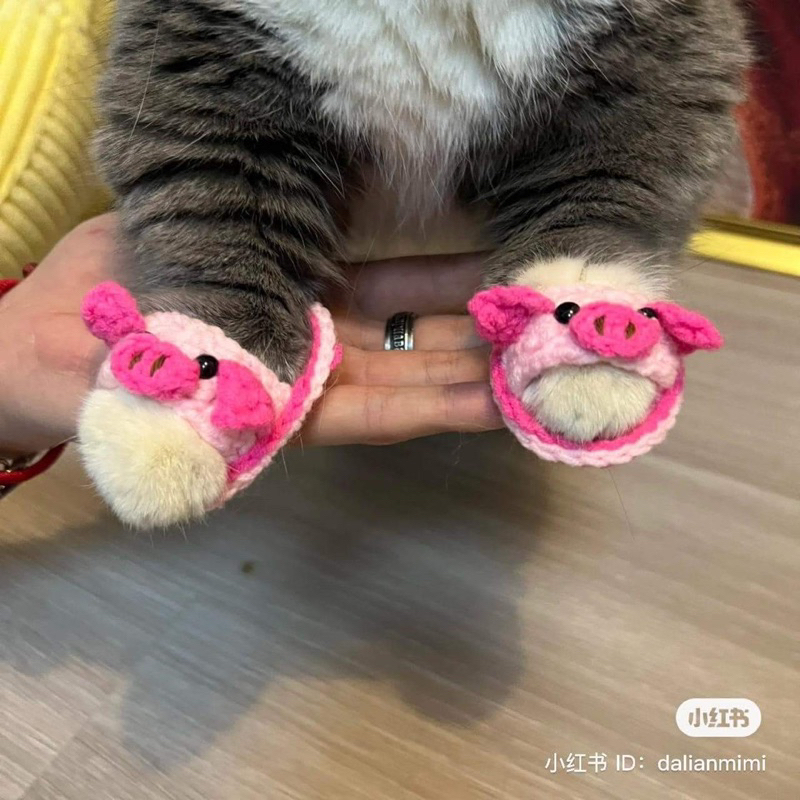 Dép len chó mèo nhiều mẫu