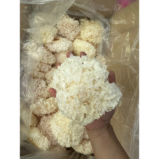 500gr nấm tuyết khô | nguyên bông trắng, to, đẹp| nguyên liệu nấu chè sâm bổ lượng, súp