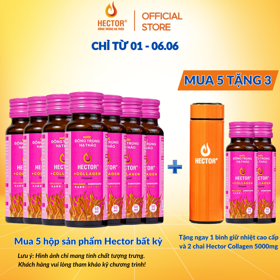 Nước uống collagen đông trùng hạ thảo Hector hộp 10 chai | BigBuy360 - bigbuy360.vn