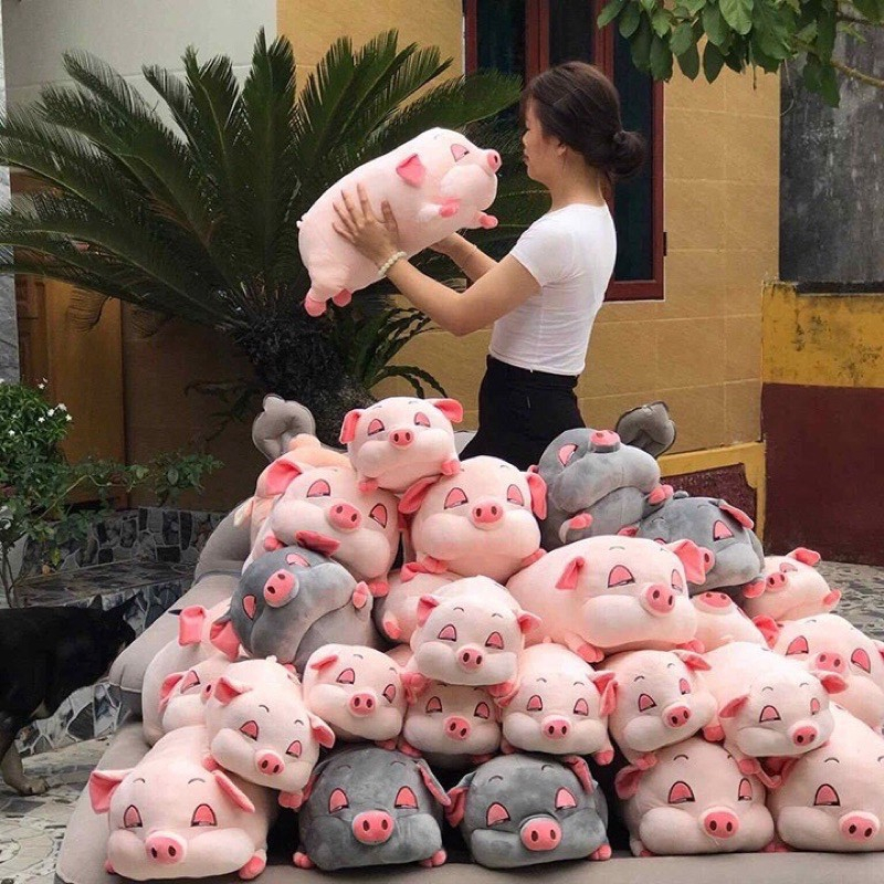 Gấu bông,Gối ôm hình thú con heo béo mắt hí cute thú nhồi bông con lợn ngủ size 40cm, 45cm, 80cm, 1m, 1m, 1m2-SANBEO.VN