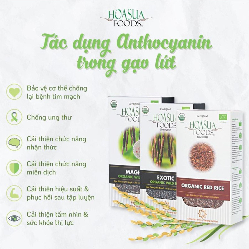 Gạo, Nui, Miến hữu cơ gạo lứt, chùm ngây