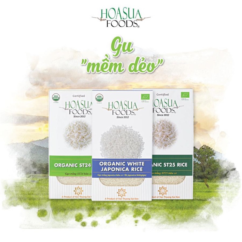 Gạo, Nui, Miến hữu cơ gạo lứt, chùm ngây