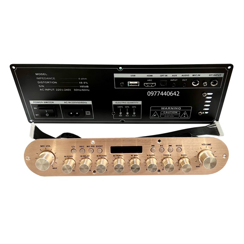 Mạch loa kéo mini 100Uw 2 kênh - lắp ráp cho loa marshall