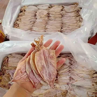 Mực khô Phú Quốc : Tinh hoa biển đảo trong từng miếng phân phối bởi Huy Xứ Biển