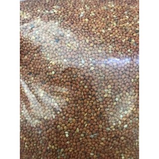 Hạt kê bóng vàng cho chim yến phụng 30k/1kg