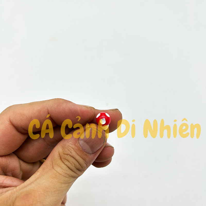 Tiểu cảnh mô hình cây nấm ốm mini trang trí hồ cá Terrarium