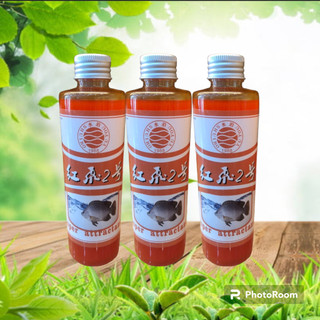 Hồng Phi 2 - mồi chuyên câu Rô Phi