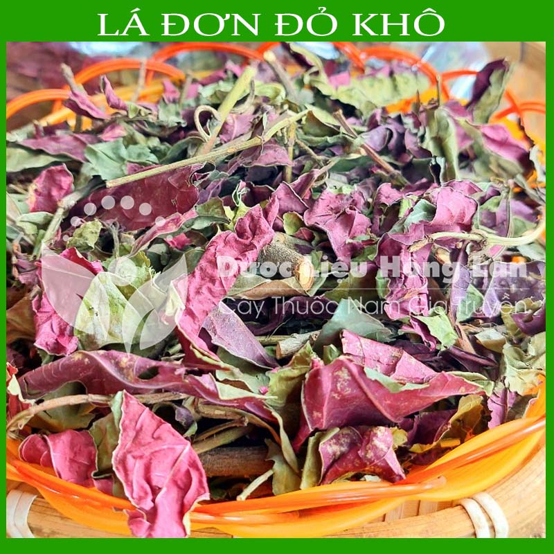 Thảo dược LÁ ĐƠN ĐỎ khô sạch đóng gói 500gram - congtyduoclieuhonglan