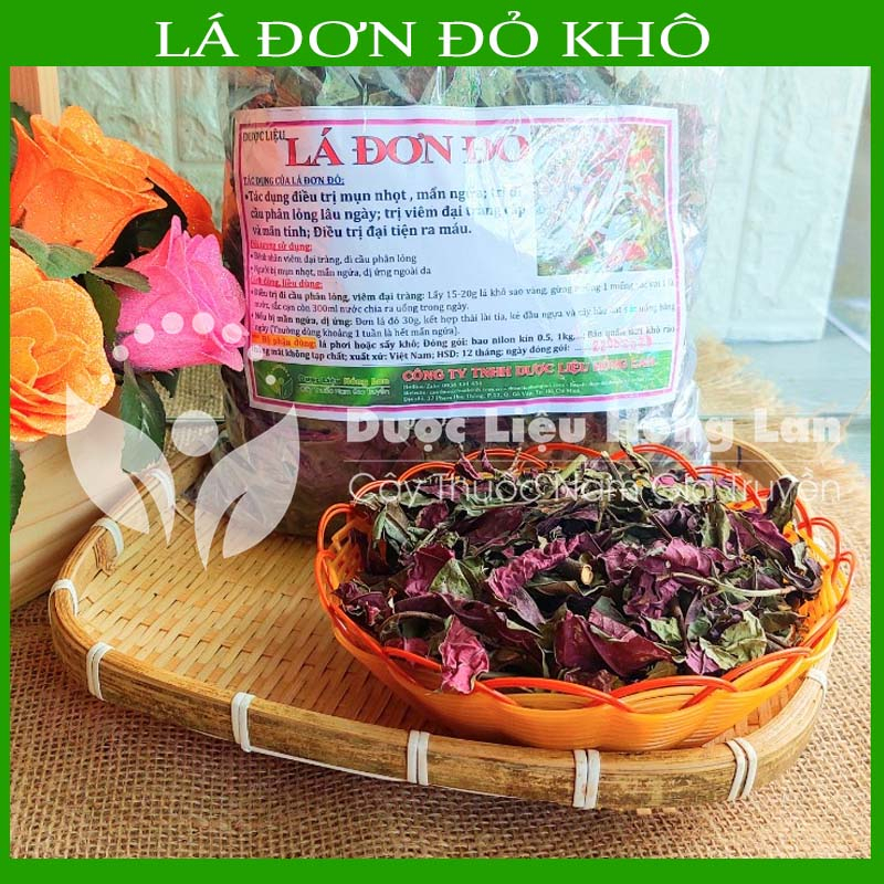 Thảo dược LÁ ĐƠN ĐỎ khô sạch đóng gói 500gram - congtyduoclieuhonglan