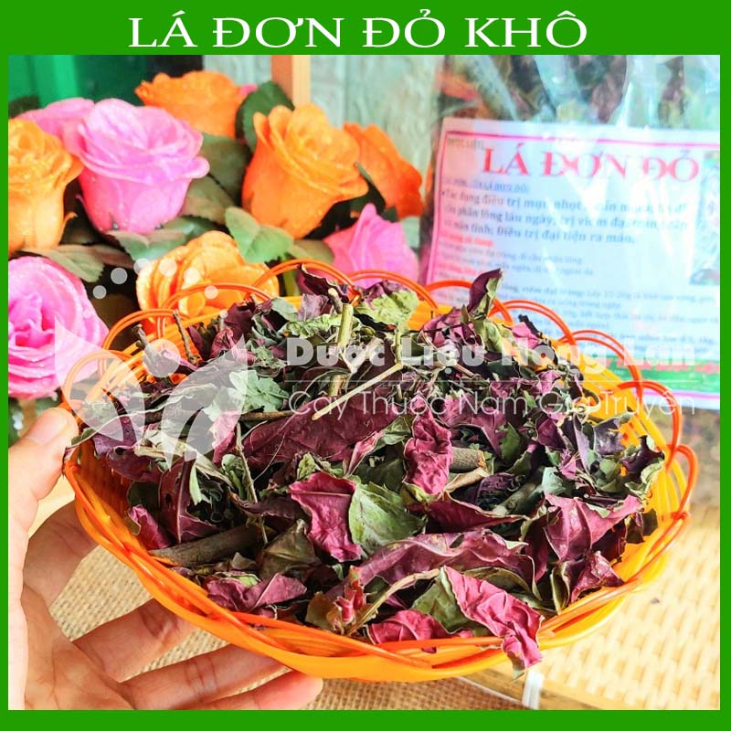 Thảo dược LÁ ĐƠN ĐỎ khô sạch đóng gói 500gram - congtyduoclieuhonglan