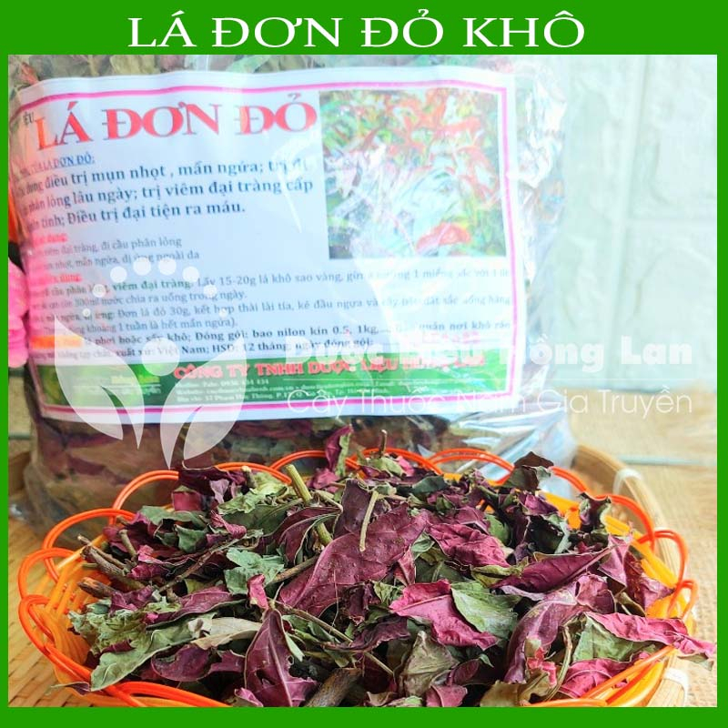Thảo dược LÁ ĐƠN ĐỎ khô sạch đóng gói 500gram - congtyduoclieuhonglan