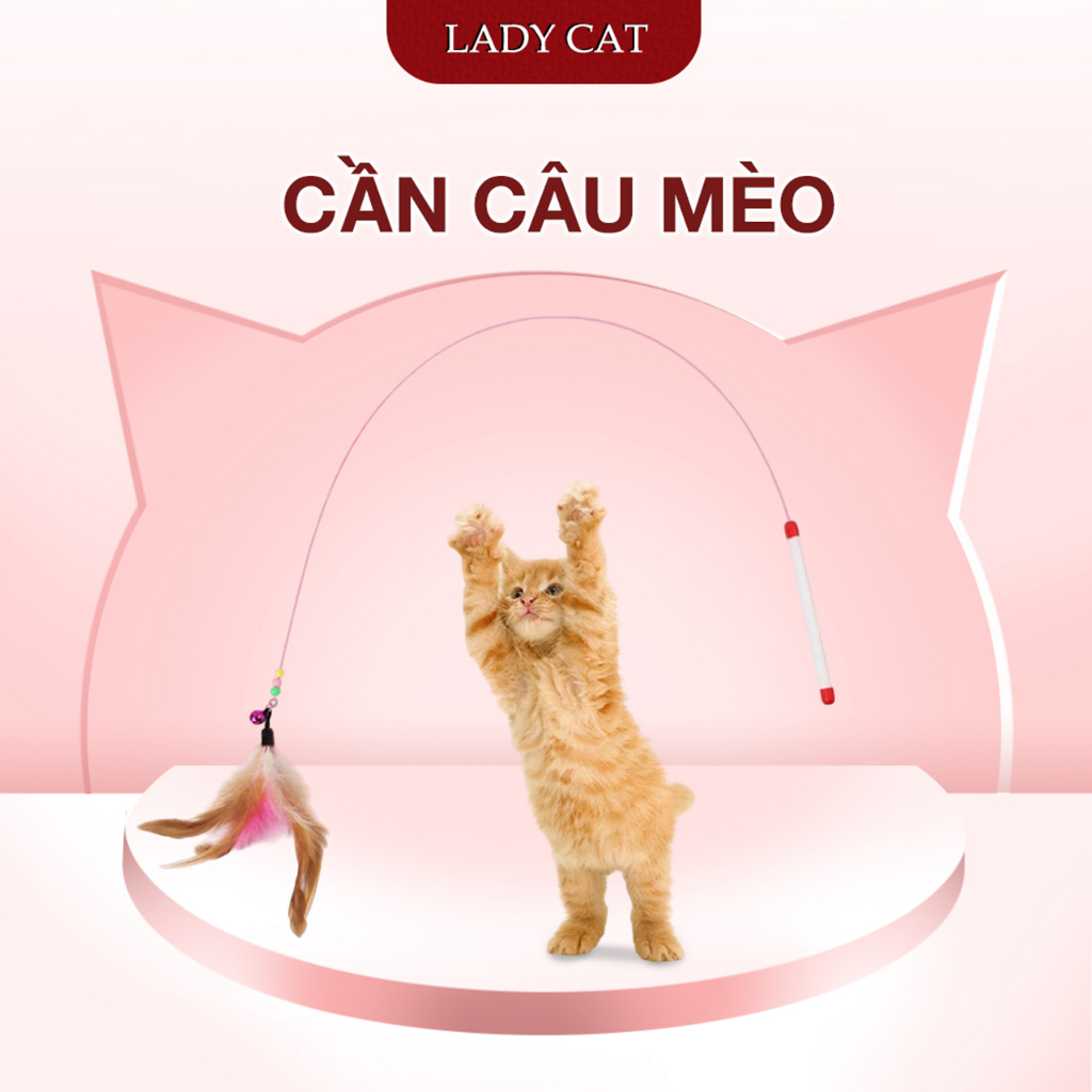 Cần câu mèo - Đồ chơi đuổi bắt mèo con | LadyCat
