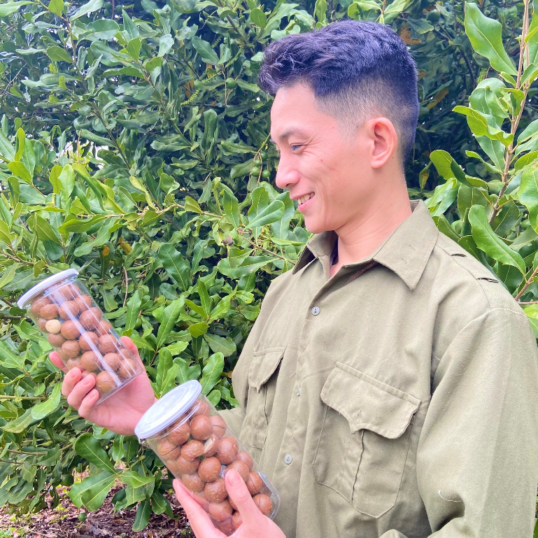 Hạt Macca Nhà Nghĩa Nứt Vỏ Đăk Lăk Size Đại  Giàu Dinh Dưỡng