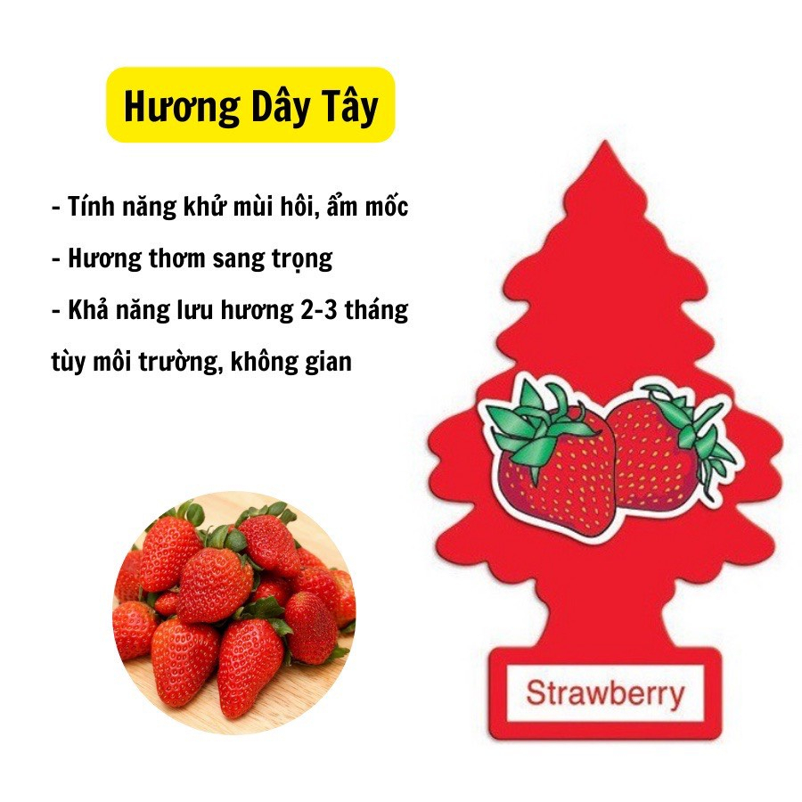 Cây Thông Thơm - Lá Thông Thơm Little Trees - Treo Xe Ô Tô, Tủ Quần Áo Khử Mùi - Thay Thế Nước Hoa | BigBuy360 - bigbuy360.vn