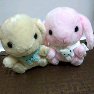 Gấu bông thỏ quàng khăn amuse
