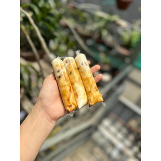 Túi đựng sữa chua 4x16cm
