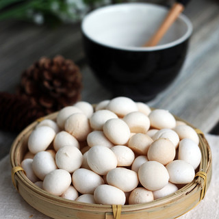 Bánh Men Bi Sữa (Bi Tròn)