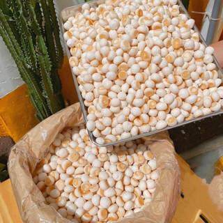 Bánh Men Bi ( Bi Sữa)