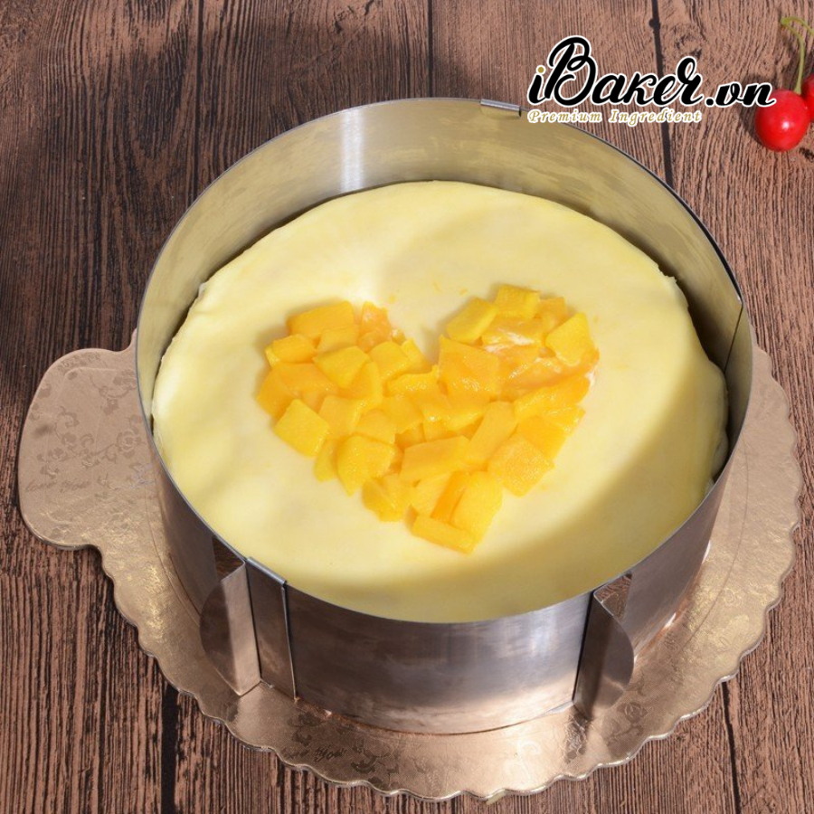 Khuôn ring tròn điều chỉnh kích thước 16cm - 30cm