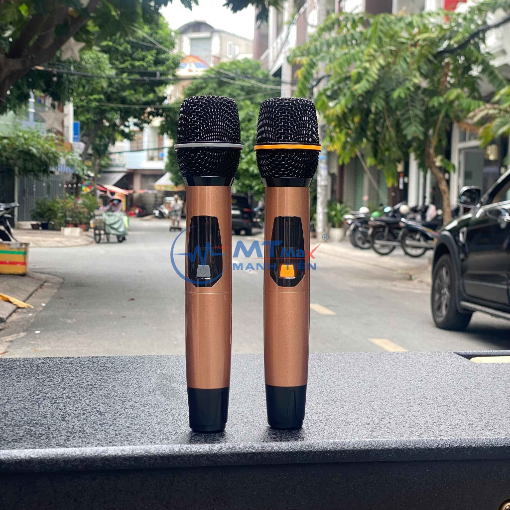 Loa Kéo AT T6800 - 2 Bass 40 Công Suất Lớn kèm 2 Micro, Phù Hợp Cho Các Chương Trình Diễn Ra Ngoài Trời