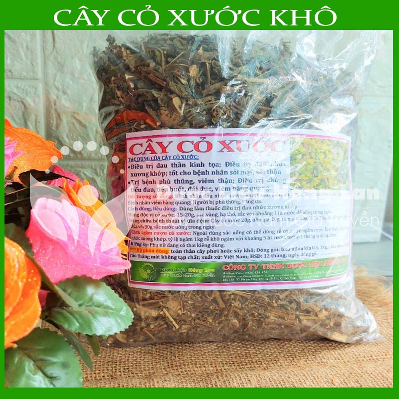 Thảo dược CÂY CỎ XƯỚC khô sạch đóng gói 500gram - congtyduoclieuhonglan