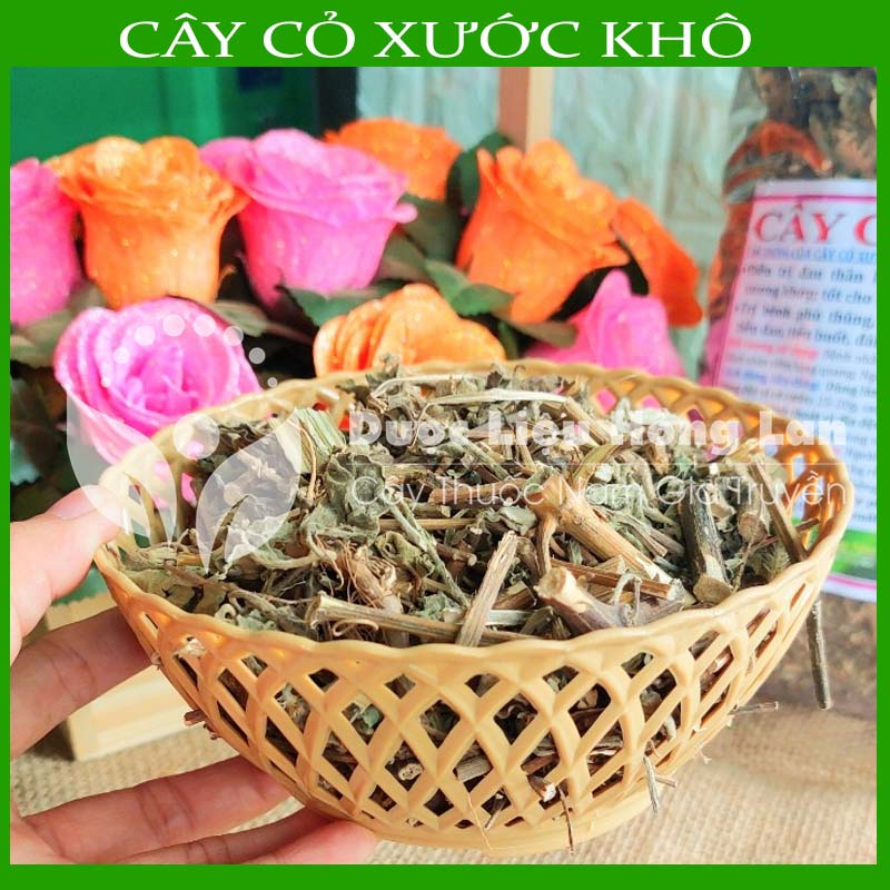 Thảo dược CÂY CỎ XƯỚC khô sạch đóng gói 500gram - congtyduoclieuhonglan