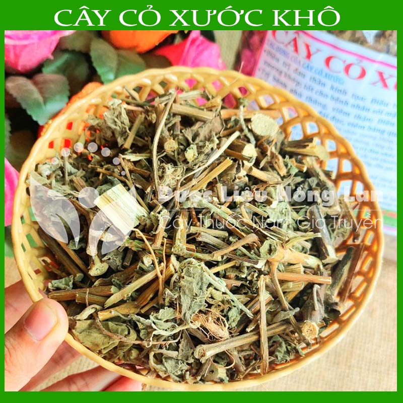 Thảo dược CÂY CỎ XƯỚC khô sạch đóng gói 500gram - congtyduoclieuhonglan