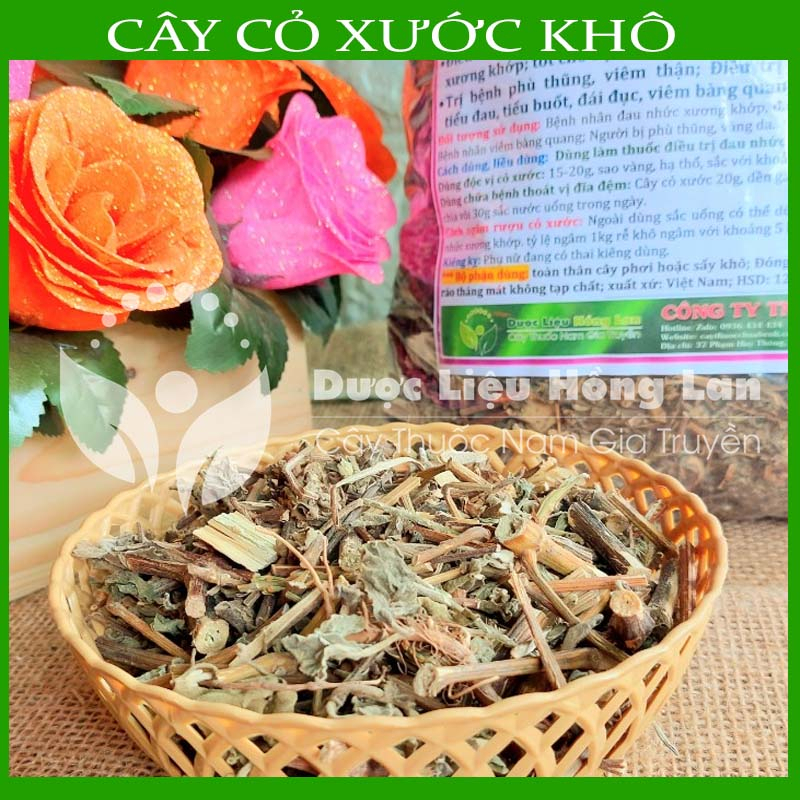 Thảo dược CÂY CỎ XƯỚC khô sạch đóng gói 500gram - congtyduoclieuhonglan