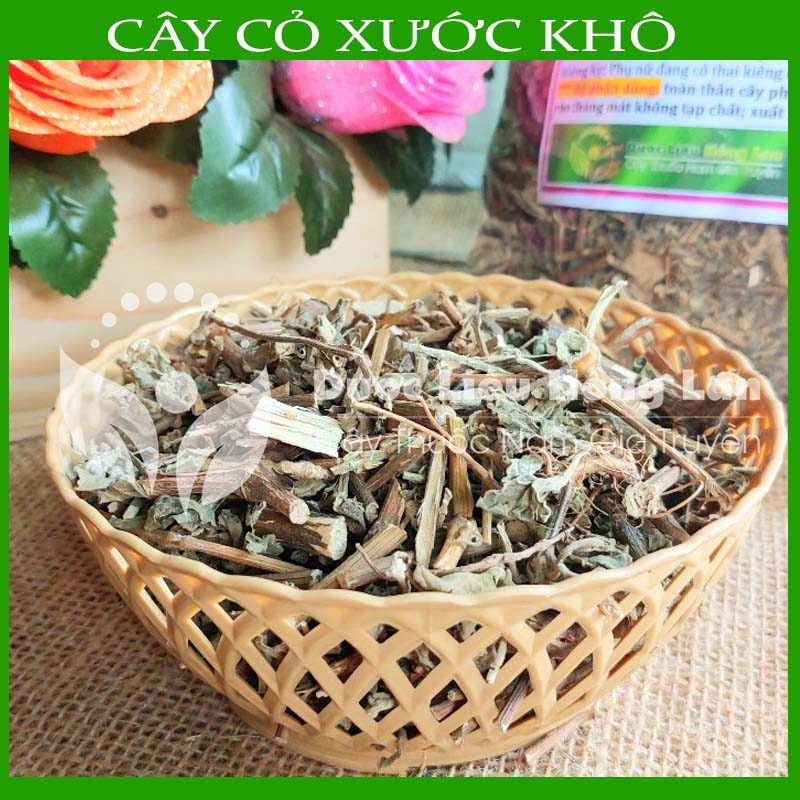 Thảo dược CÂY CỎ XƯỚC khô sạch đóng gói 500gram - congtyduoclieuhonglan