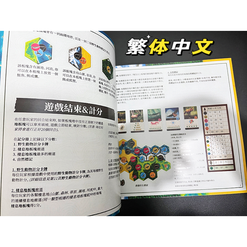 CASCADIA - Trò chơi board game xếp hình phiên bản Trung Quốc