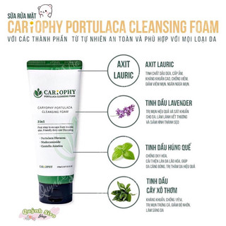 [HÀNG CTY + TEM PHỤ] SỮA RỬA MẶT CARYOPHY PORTULACA CLEANSING FOAM 150ML