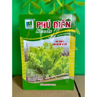 Hạt giống rau cải bẹ mào gà