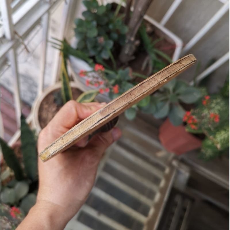 Cốt vợt bóng bàn carbon hàng hiếm Butterfly Sadius Tamca 5000 tem bạc