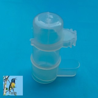 Cóng uống nước cho chim cảnh