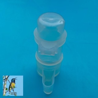 Cóng uống nước cho chim cảnh