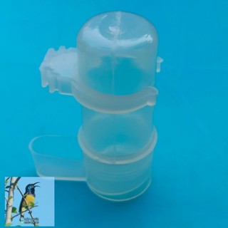 Cóng uống nước cho chim cảnh