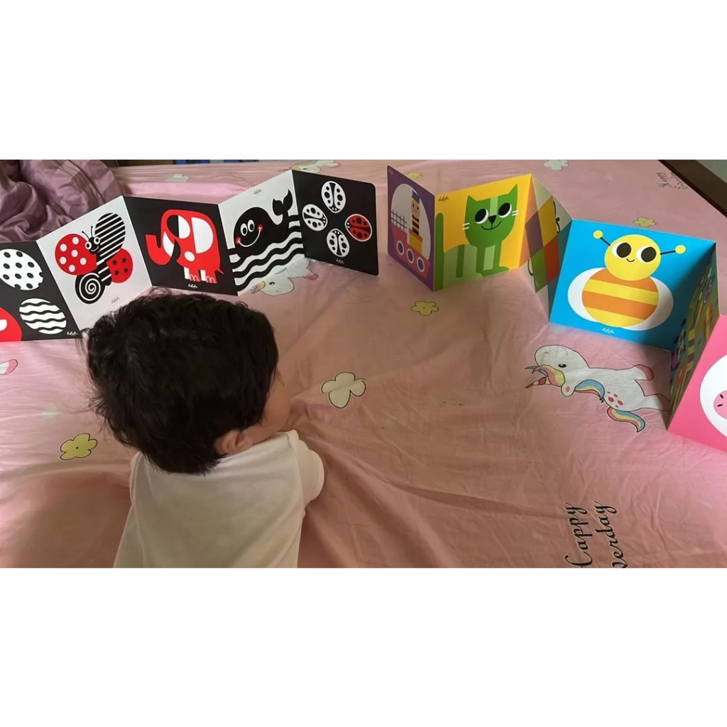 Bộ thẻ flashcard kích thích thị giác cho bé sơ sinh - combo 3 bộ đầy đủ phát triển giác quan cho trẻ