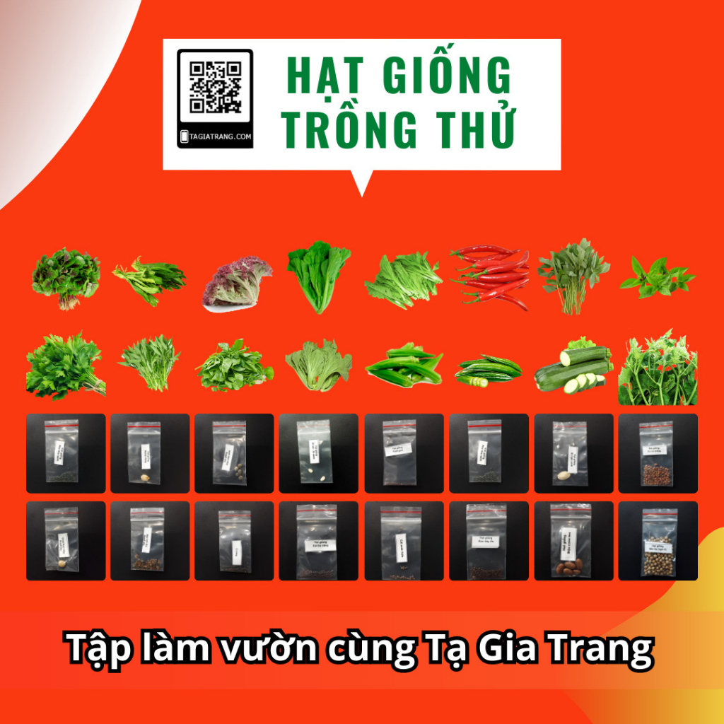 Deal 1K - 5 Hạt giống đậu bắp xanh cao sản - Tập làm vườn cùng Tạ Gia Trang