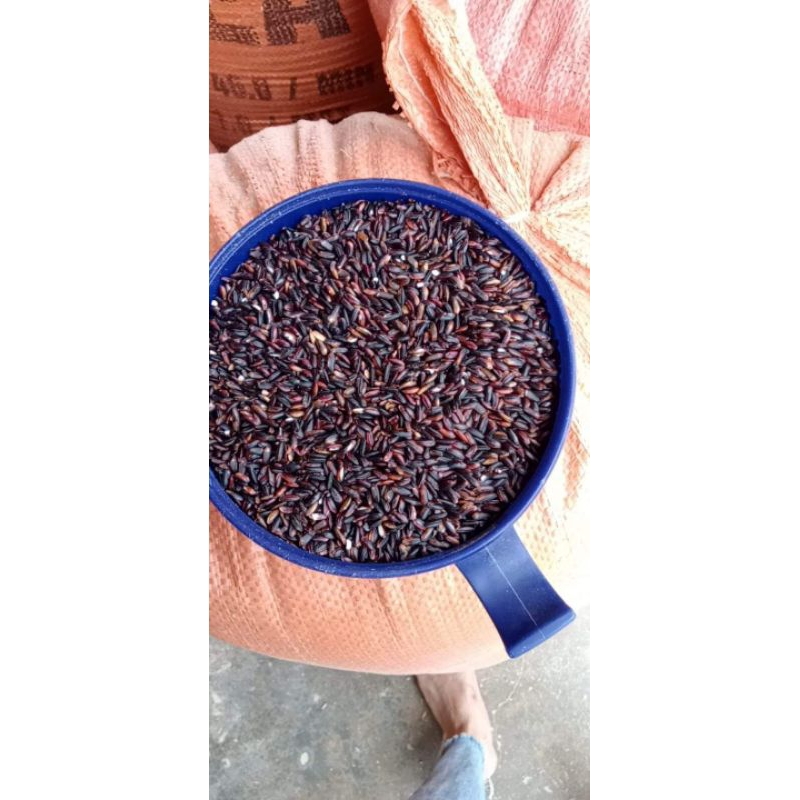 Gạo nếp cẩm Điện Biên dẻo thơm 1kg