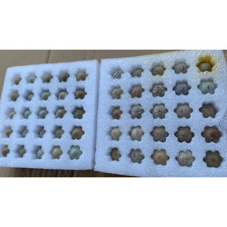 Trứng gà rutin