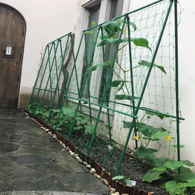 Lưới làm giàn leo, Lưới làm giàn cây leo, Lưới giàn mướp, nho, bầu bí, cây hoa, dưa chuột