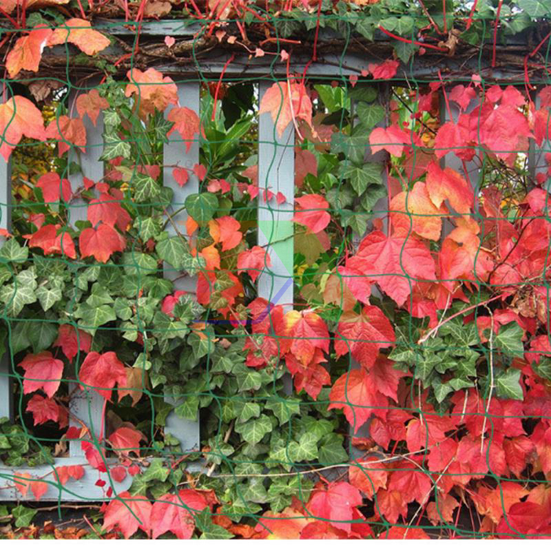 Lưới làm giàn leo, Lưới làm giàn cây leo, Lưới giàn mướp, nho, bầu bí, cây hoa, dưa chuột