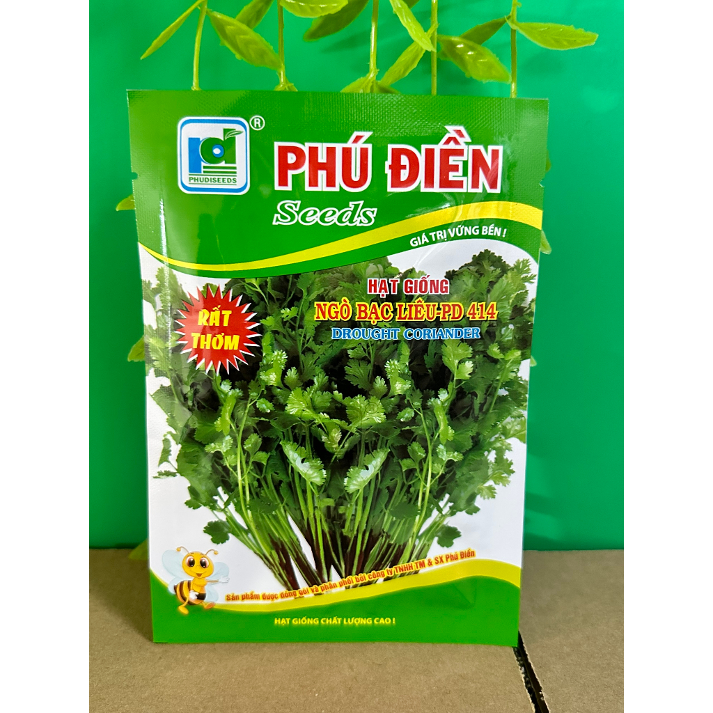 Hạt giống rau mùi  Bạc Liêu